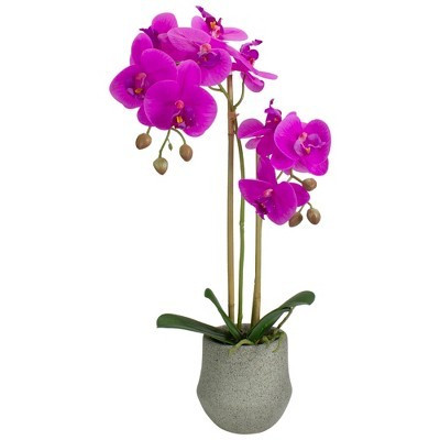 Northlight Real Touch™️ Purple Artificial Orchid Plant with a Gray Stone Pot - 14" | Target
