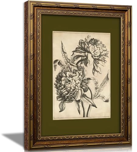 Vintage Gold Framed Floral Canvas Wall Art,Retro Flower Sketch Botanical Painting Picture Wall Decor,Sage Green Antique Flowers Poster Print Artwork,for Bedroom Living Room Home Decoration, | Amazon (US)
