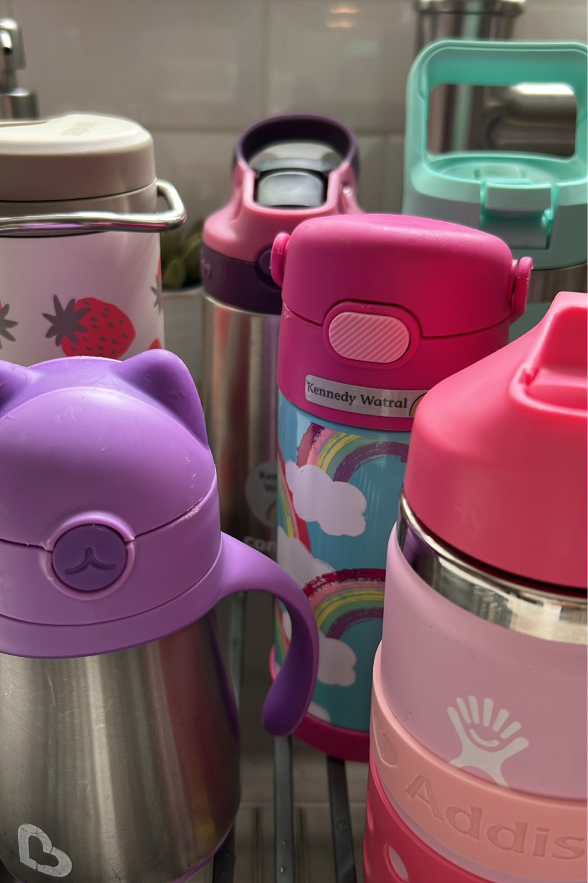 I Love My Munchkin cat' Insulated Stainless Steel Water Bottle