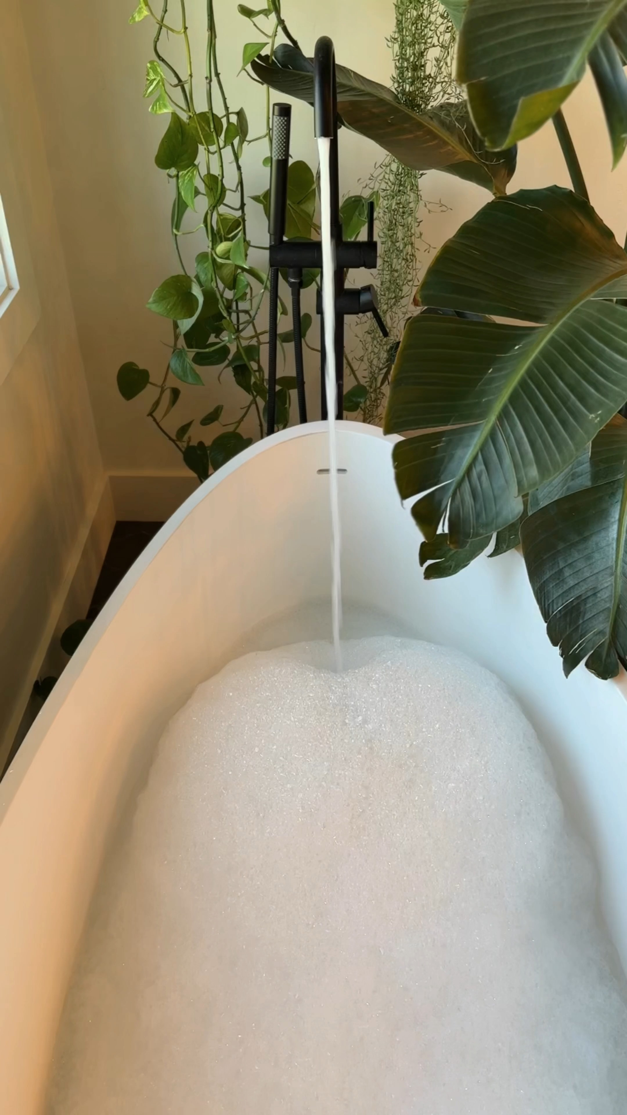 A view from the bathtub — slowly turning our master bath into a jungle...

#LTKSaleAlert #LTKStyleTip #LTKHome