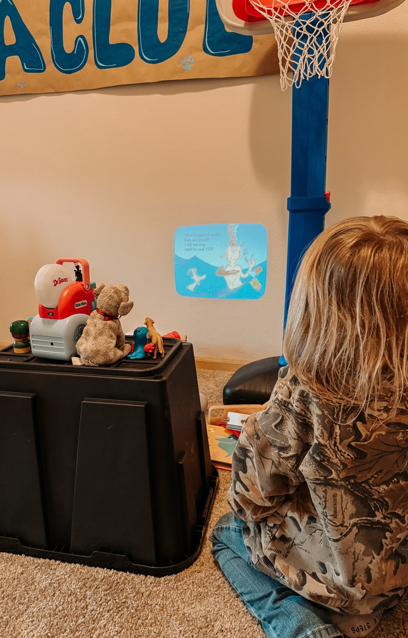 Best buy ever for our toddler. This projector reads books aloud. He’s been so much more interested in books since we got this! 

#LTKHome #LTKstorytime #LTKKids