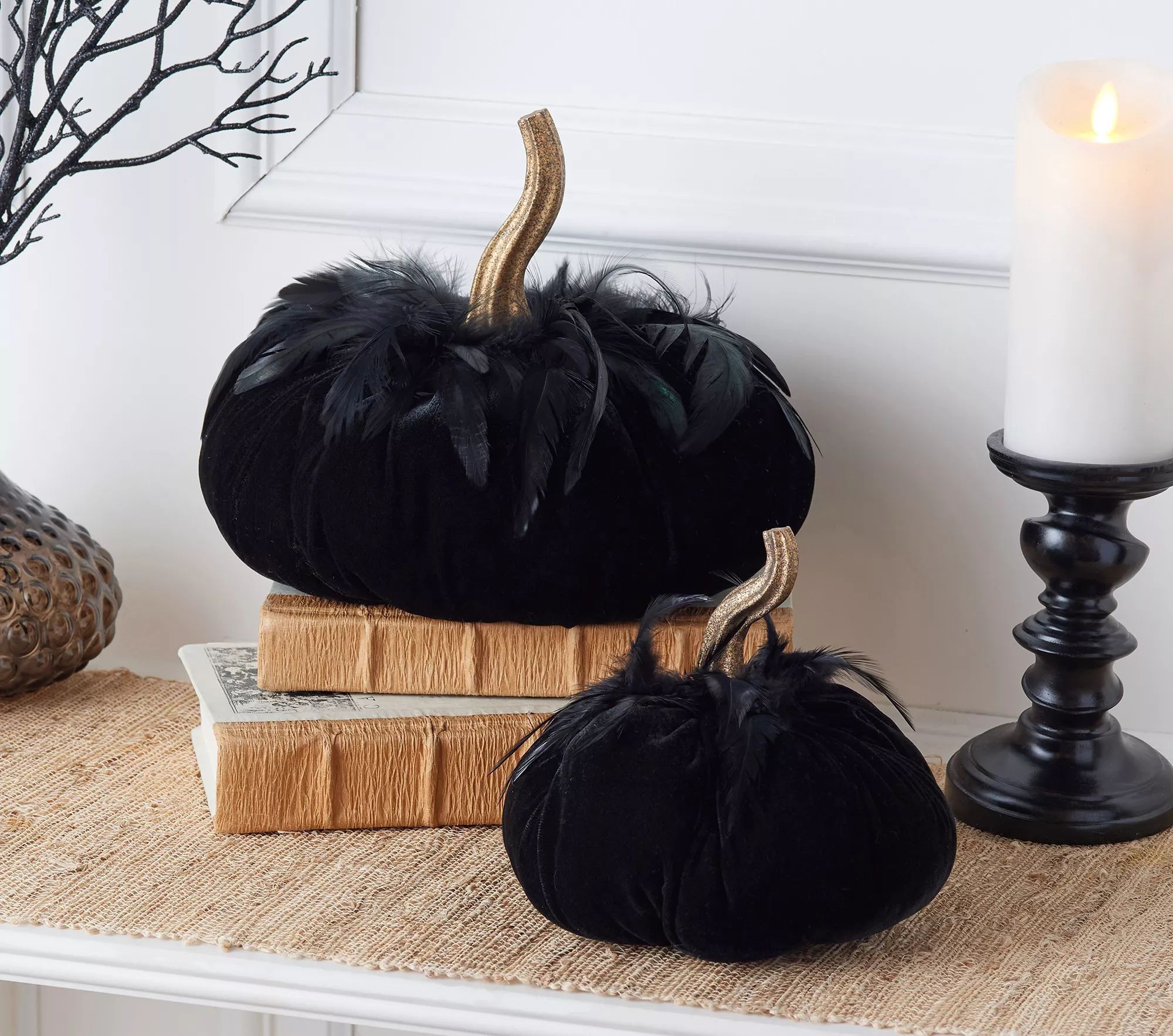 Simply Stunning Set of 2 Feathered Pumpkins by Janine Graff | QVC
