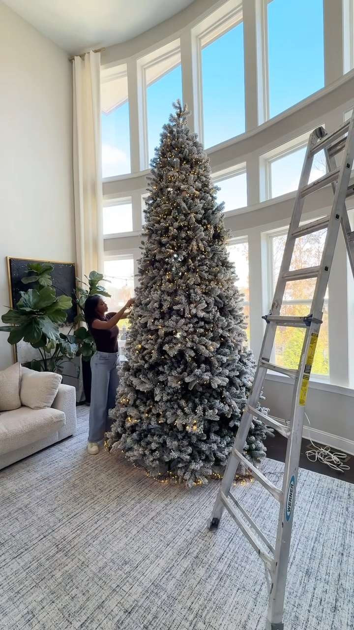 Want the viral twinkling tree look without buying a new one? Here’s how I transformed my regular 12-foot Christmas tree using just two strands of 1,000-count lights. I zig-zagged them back and forth to get that same magical sparkle everyone’s saving—without the price tag. Adding 2,000 lights gave my tree a warm, glowing look for a fraction of the cost. If your tree’s perfectly fine but just needs a little sparkle, this is your sign to try it.

Shop the exact lights and decor I used below to get the viral tree look for less.


#ViralTwinklingTree #ChristmasTreeHack #HolidayDecorIdeas #ChristmasLights #LookForLess #BudgetFriendlyDecor #ChristmasTreeInspo #HolidayHomeDecor #12FootChristmasTree #ChristmasDecoratingTips 

 #LTKHoliday #LTKSeasonal