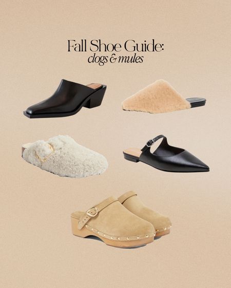 Fall shoe guide: Clogs & miles 

#LTKSeasonal #LTKshoecrush