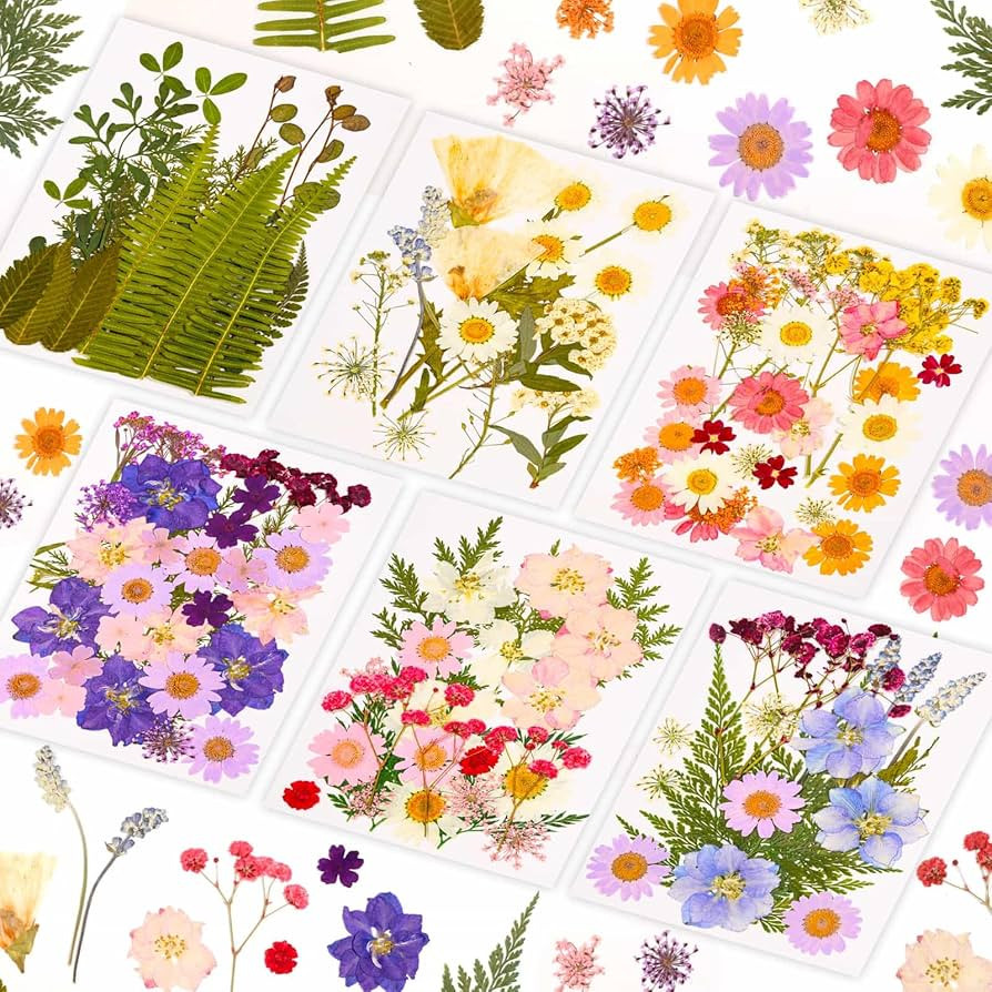 6 Sheets Dried Pressed Flowers for Crafts, Real Dried Florals and Leaves for Scrapbooking Resin J... | Amazon (US)