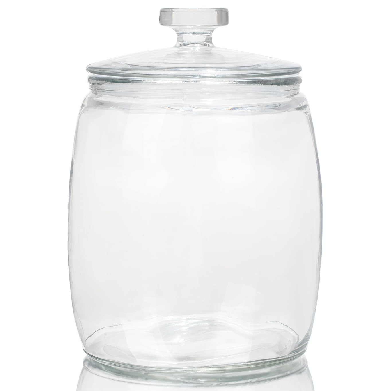 CATPOWER 2.5 Gallon Wide Mouth Glass Storage Jars with Heavy Glass Lids - Large Cookie Jars for K... | Amazon (US)