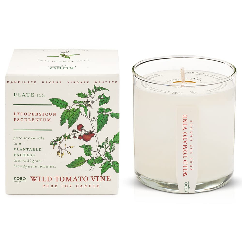 KOBO Wild Tomato Vine Candle with Plantable Box (9 oz) | Plant The Box Collection, 100% Pure Soy ... | Amazon (US)