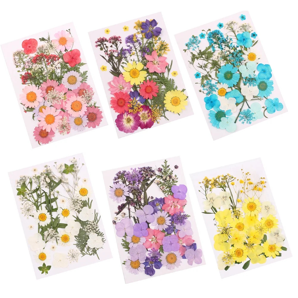 SPRING PARK Pressed Mixed Organic Natural Dried Flowers DIY Art Handicraft Gift Decoration | Walmart (US)