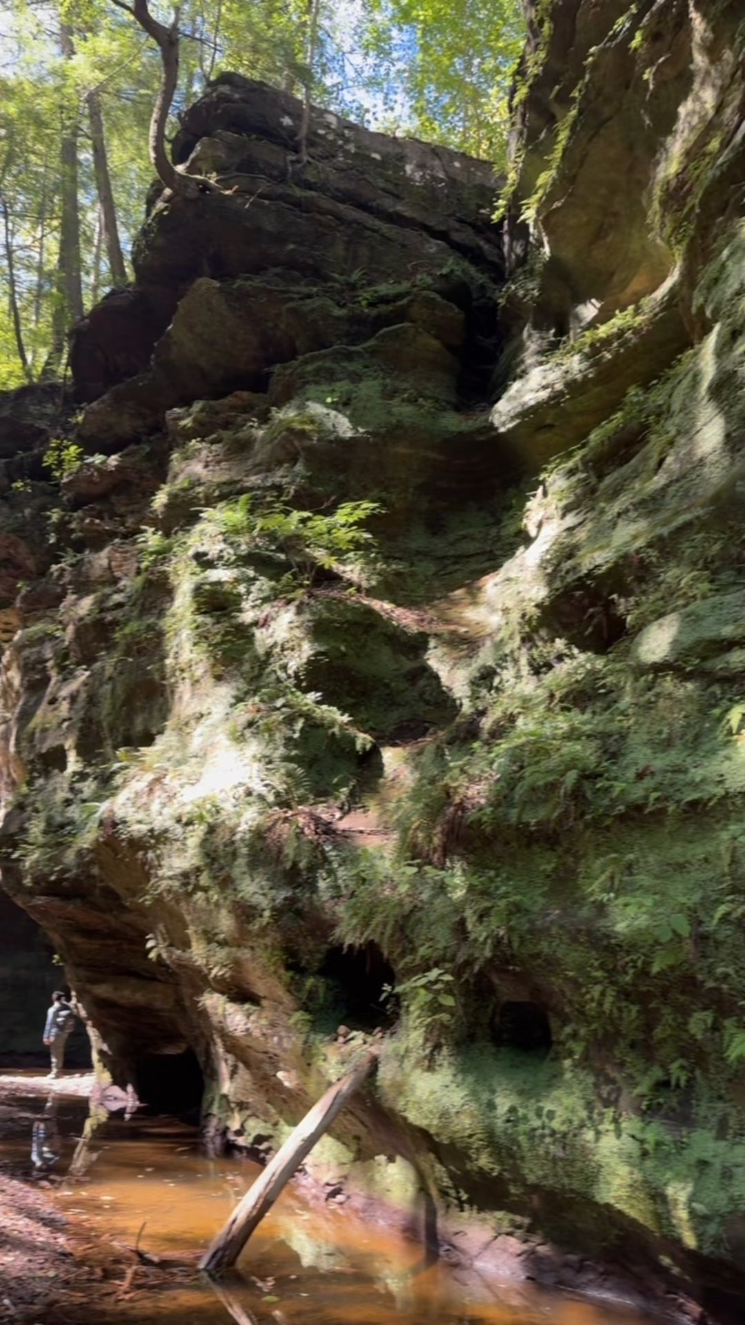 Hocking Hills Ohio, you are beautiful!!! Hiking OOTD! I just grabbed this new @walmartfashion jacket in 2 colors!!!
⬇️⬇️⬇️
Jacket size medium (runs small)
Tank and shorts size medium 



#LTKStyleTip #LTKTravel #LTKFindsUnder50