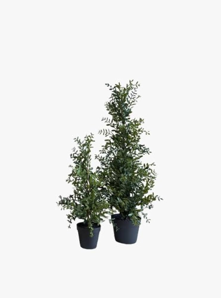 Potted Boxwood Tree, Artificial Greenery in Neutral Pot, Lifelike Faux Plant for Indoor or Outdoo... | Amazon (US)