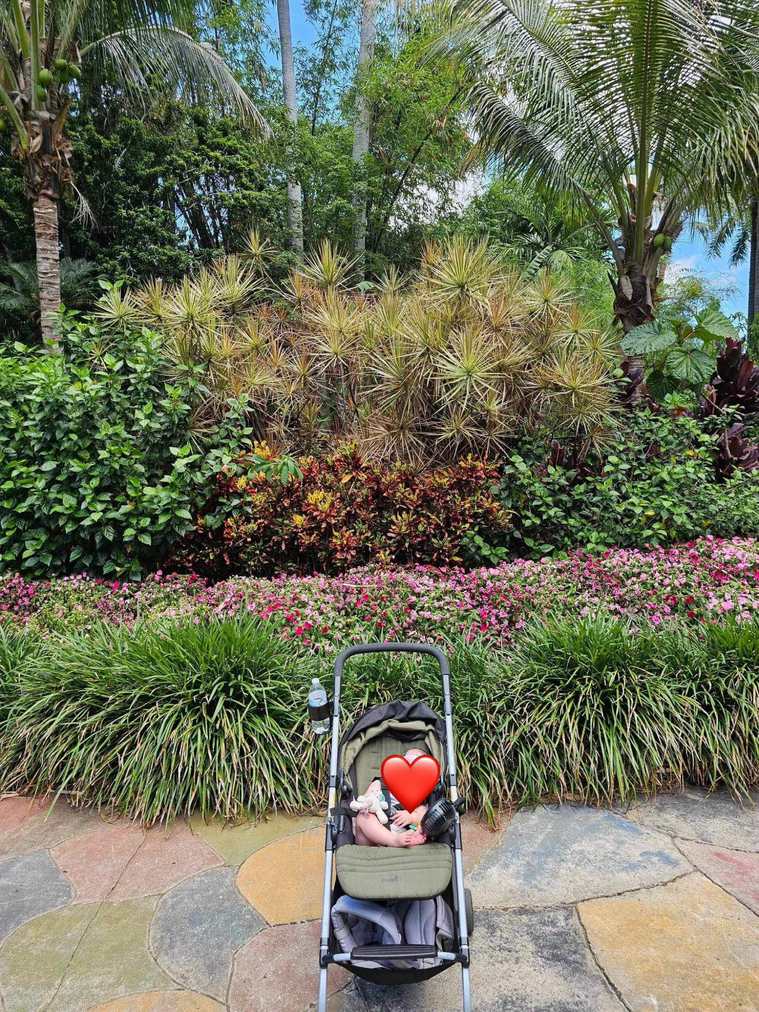 Our favorite travel stroller! I love that this seat can move up and down into three positions as well as flip forward or rear facing! 

#LTKBaby #LTKKids #LTKTravel