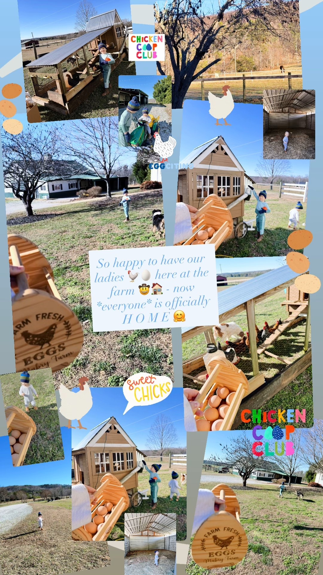 So happy to have our ladies 🐓🥚 here at the farm 🤠🏠 - now *everyone* is officially H O M E 🤗

#LTKHome #LTKKids