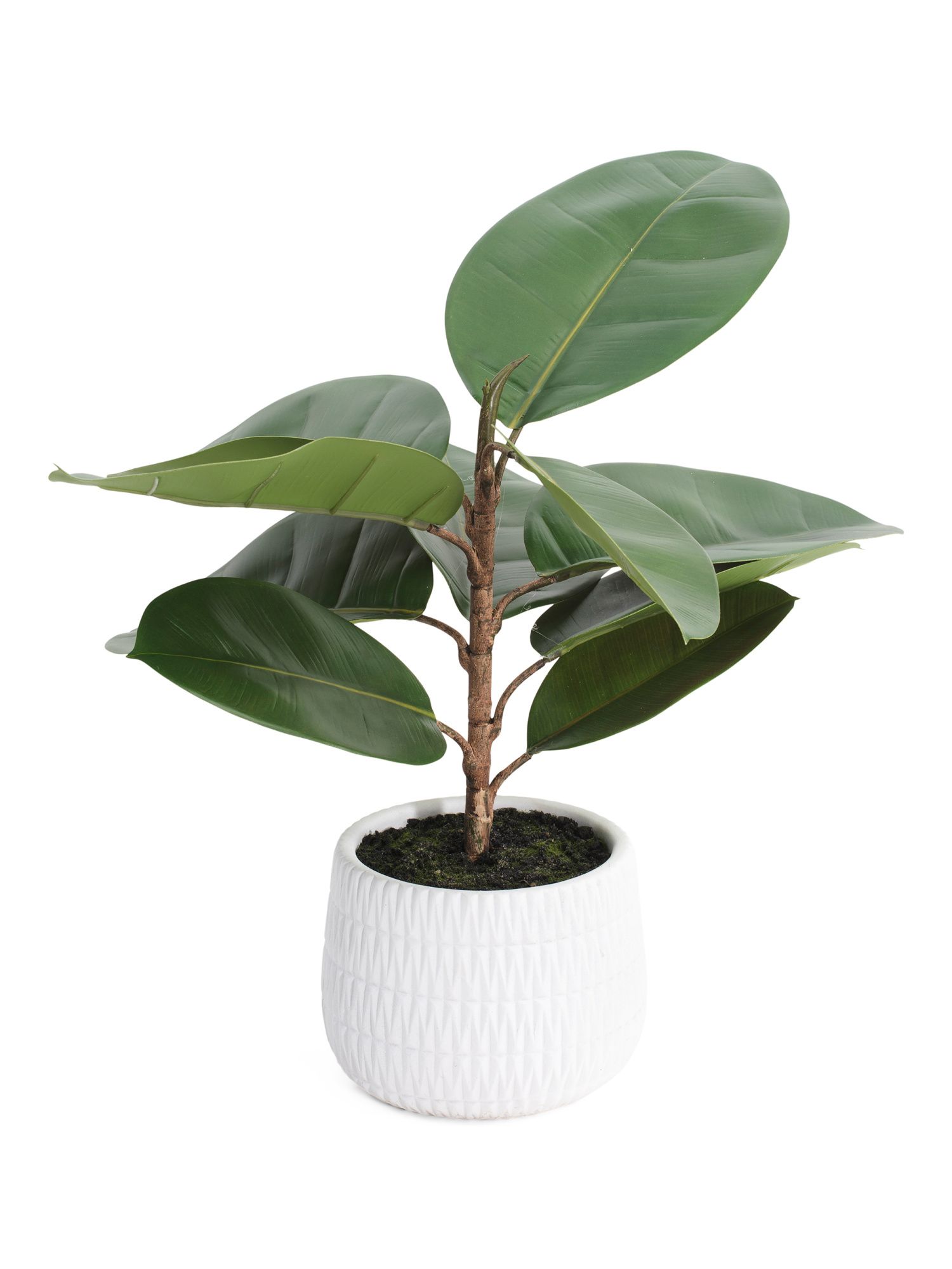 24in Real Touch Rubber Plant In Concrete Pot | TJ Maxx