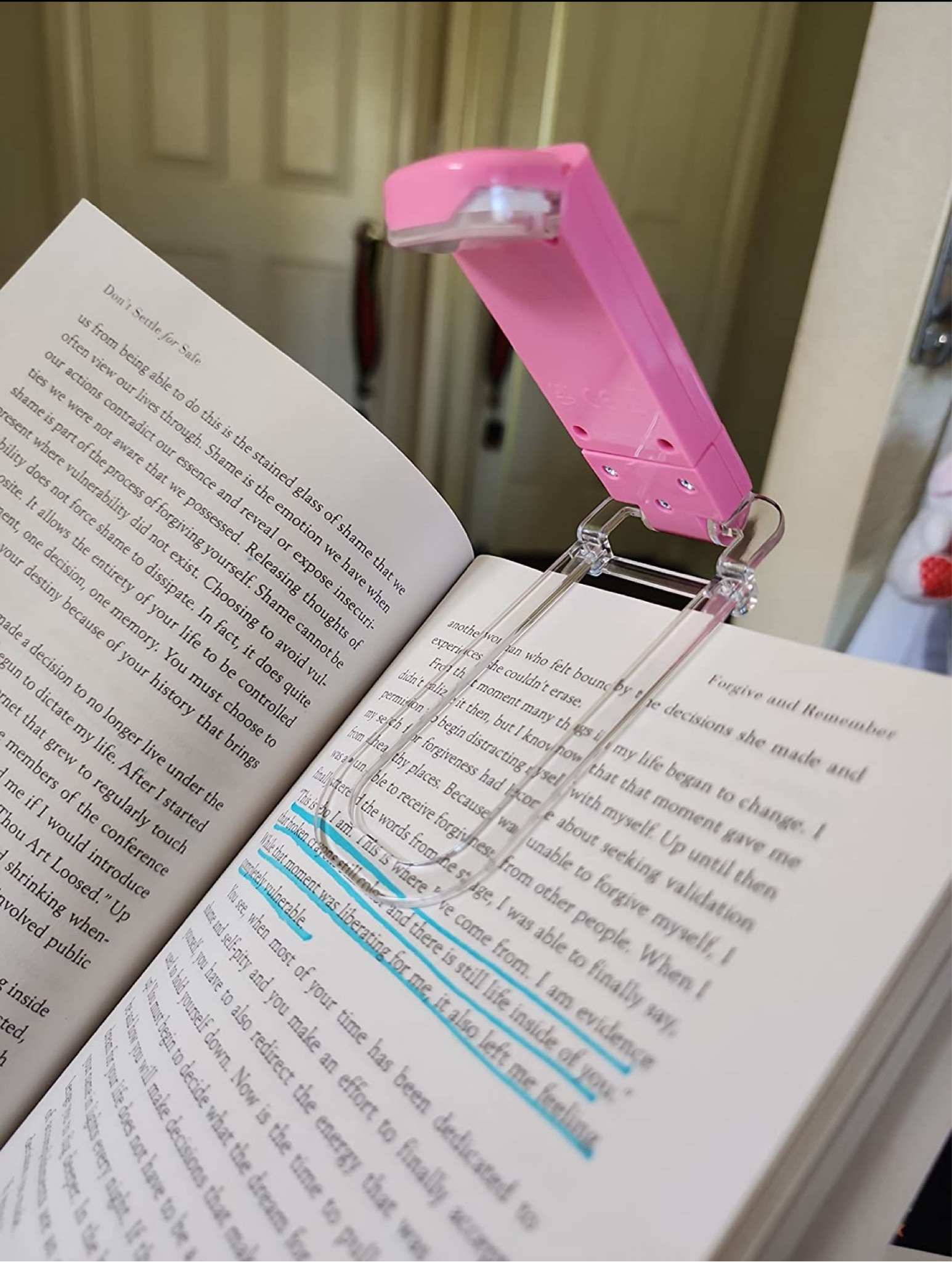 I absolutely LOVE this reading light. My husband is a morning reader and I am a night reader. Whenever he’s ready to go to sleep, I just pull out my little reading light and read the night away!

#LTKfamily #LTKfindsunder100 

#LTKGiftGuide