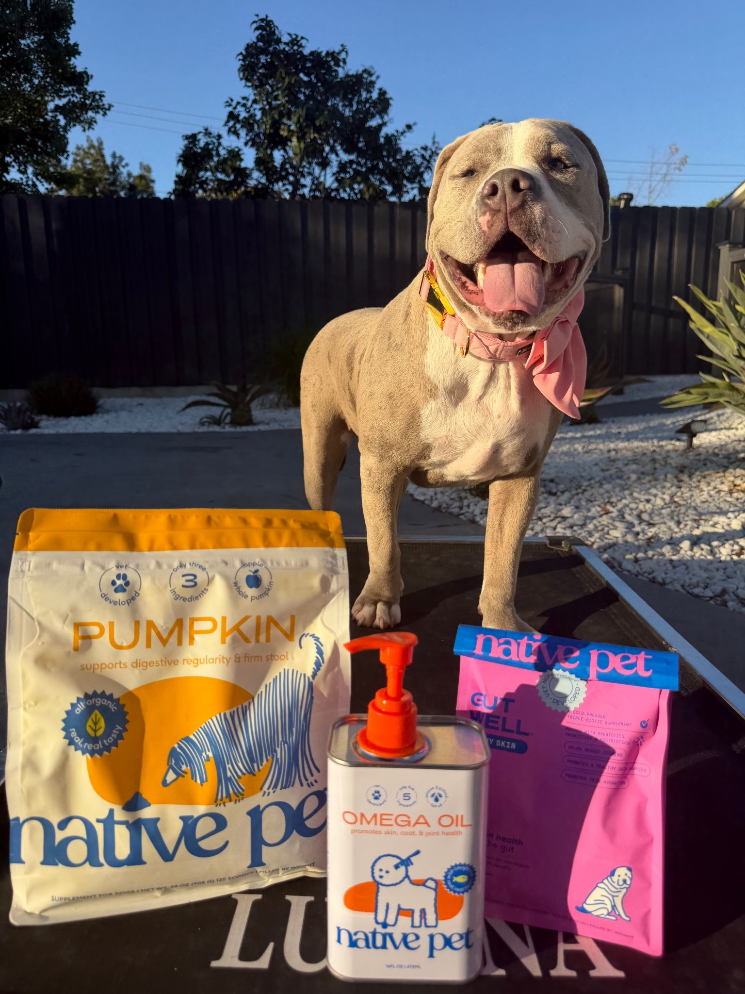 Our favorite Native Pet essentials that keep Lumina’s tummy happy, skin shiny, and coat glowing ✨💗 A few of these are on sale for Amazon Prime Big Deal Days — it’s the perfect time to stock up!

🧡 Pumpkin Powder – our go-to for digestive health (helps keep her regular and feeling great).
💧 Omega Oil – adds shine, supports joints, and keeps her coat silky soft.
💖 Gut Health Chews – help with itchy skin and overall gut balance!

👉 Tap to shop our favorite Native Pet products on LTK and check what’s on sale during Prime Big Deal Days!

#NativePet #AmazonPrimeBigDealDays #DogWellness #DogMomLife #LTKPet #LTKPrimeFinds #LTKDog #PetCareEssentials



#LTKSeasonal #LTKSaleAlert #LTKPets