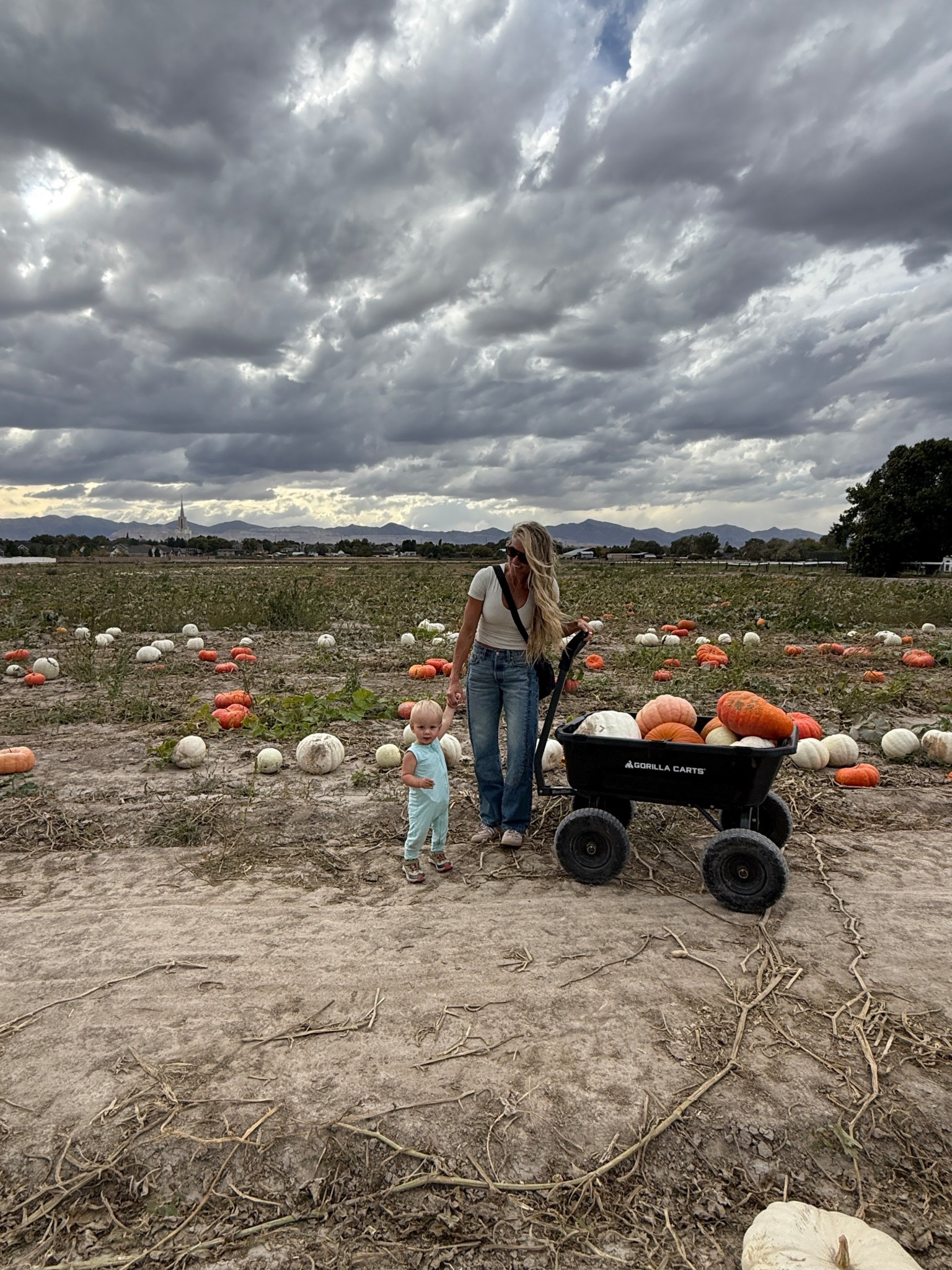 6 in the top-snug fit could size up. No bra needed!!! 

Bottoms- 26 and they fit a little more relaxed. Could size down for a more fitted look 