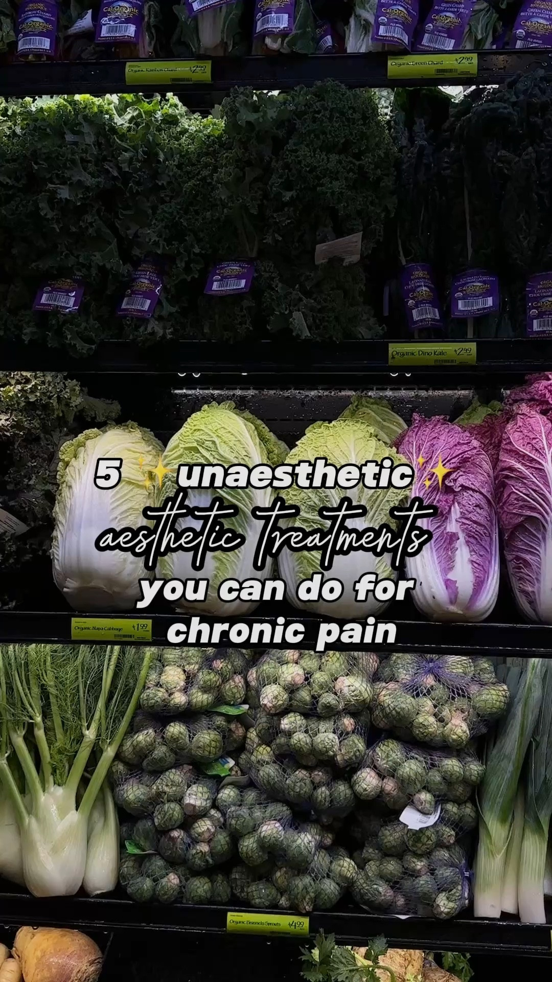 5 unaesthetic, aesthetic beauty treatments to help with chronic pain/autoimmune wellness 🤍



#LTKActive #LTKBeauty #LTKGiftGuide