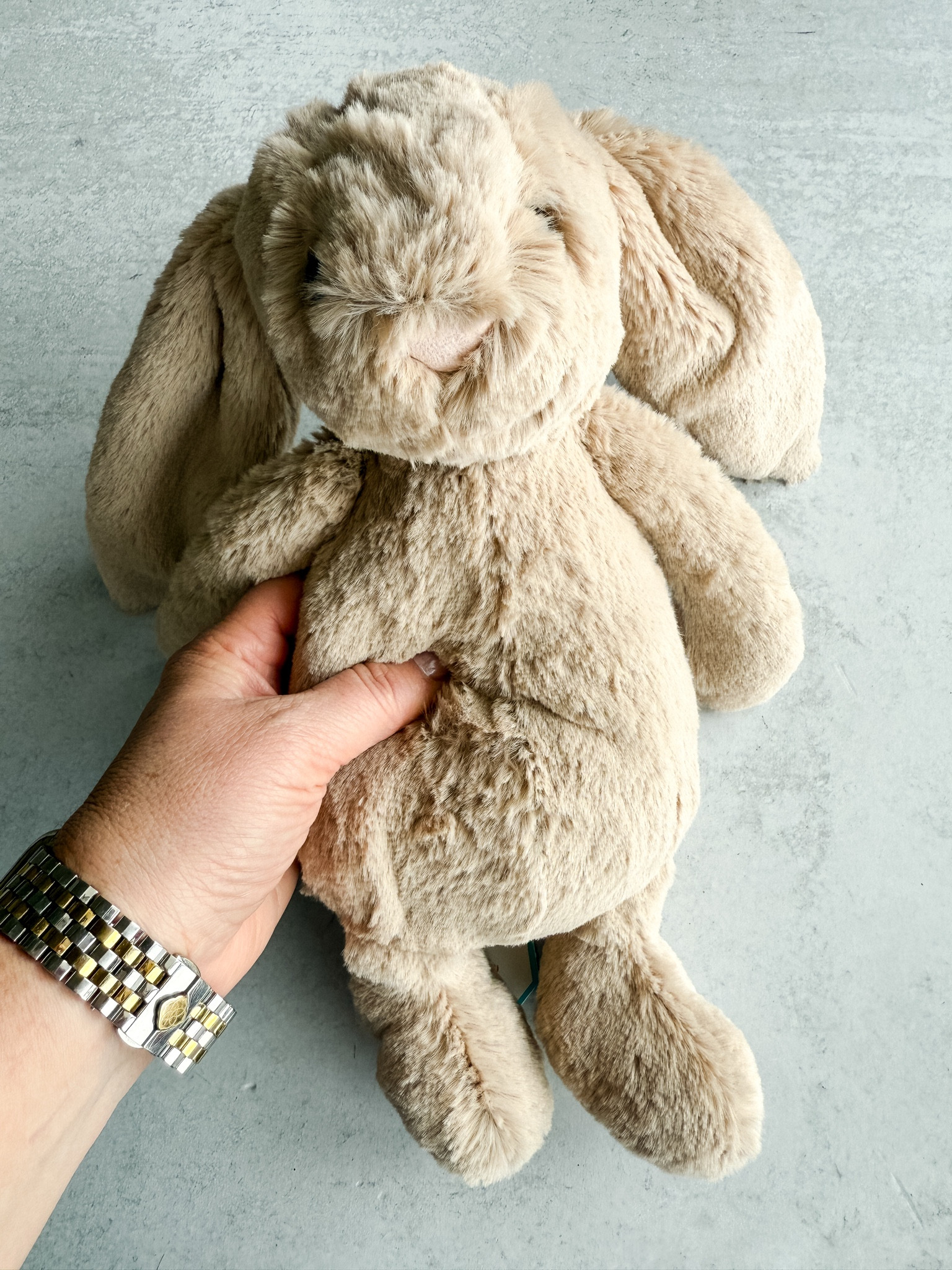 Jellycat bunnies great for Easter baskets 

#LTKSeasonal #LTKKids #LTKFamily