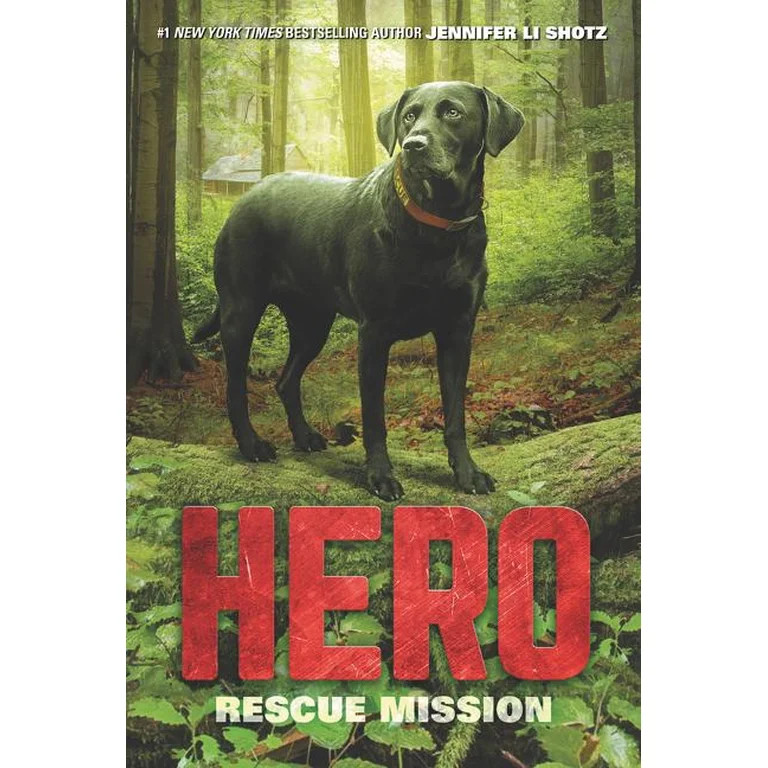 Hero: Hero: Rescue Mission (Series #3) (Paperback) - Walmart.com | Walmart (US)