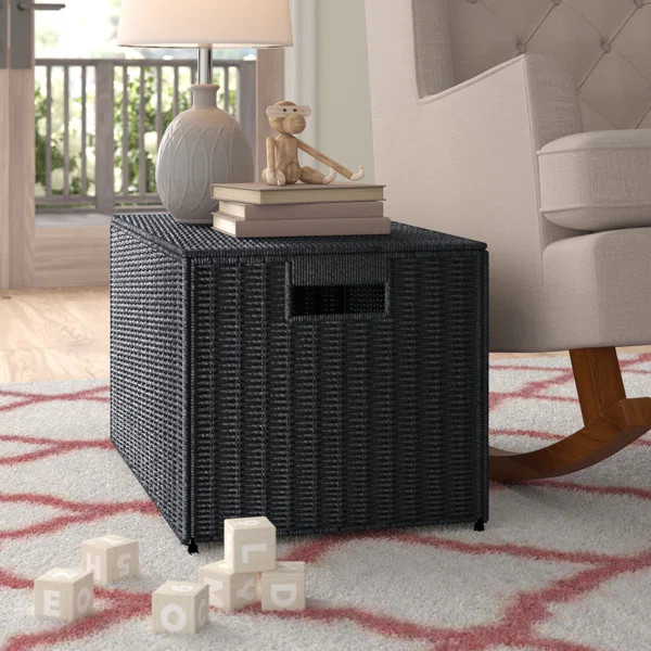 Wicker Box | Wayfair North America