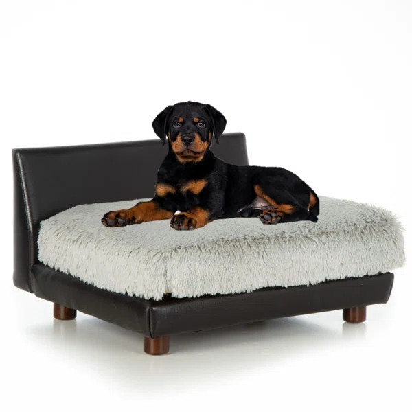 Adalyn Dog Sofa | Wayfair North America