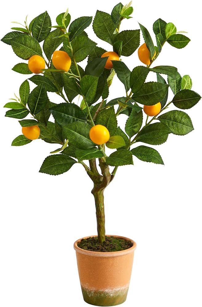 Nearly Natural 24in. Lemon Artificial Tree | Amazon (US)
