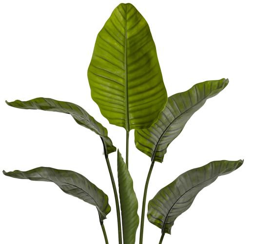 Faux Potted Travellers Palm Tree | Pottery Barn (US)