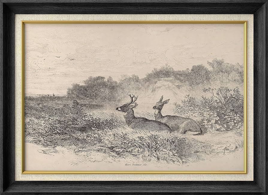 SIGNWIN Premium Frame Art Classic Wildlife Sketch Deer Duo in Wilderness Illustrations Fine Art Traditional Iconic for Living Room, Bedroom, Office - 26"x36" Black | Amazon (US)
