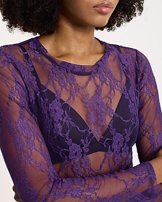Sheer Lace Long Sleeve Top | Express