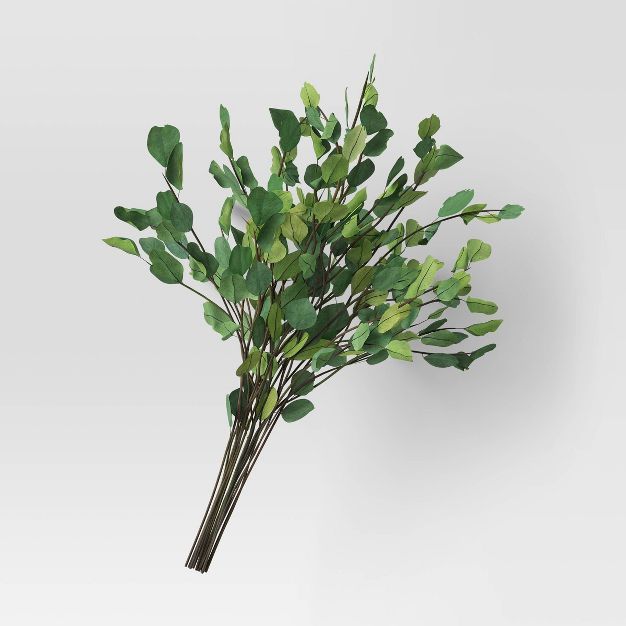 Round Eucalyptus Leaf Foliage Dried Bundle Green - Threshold™ | Target