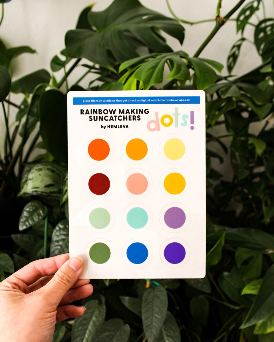 Rainbow Making Dots Suncatcher: Removable Window Decals | Etsy (US)