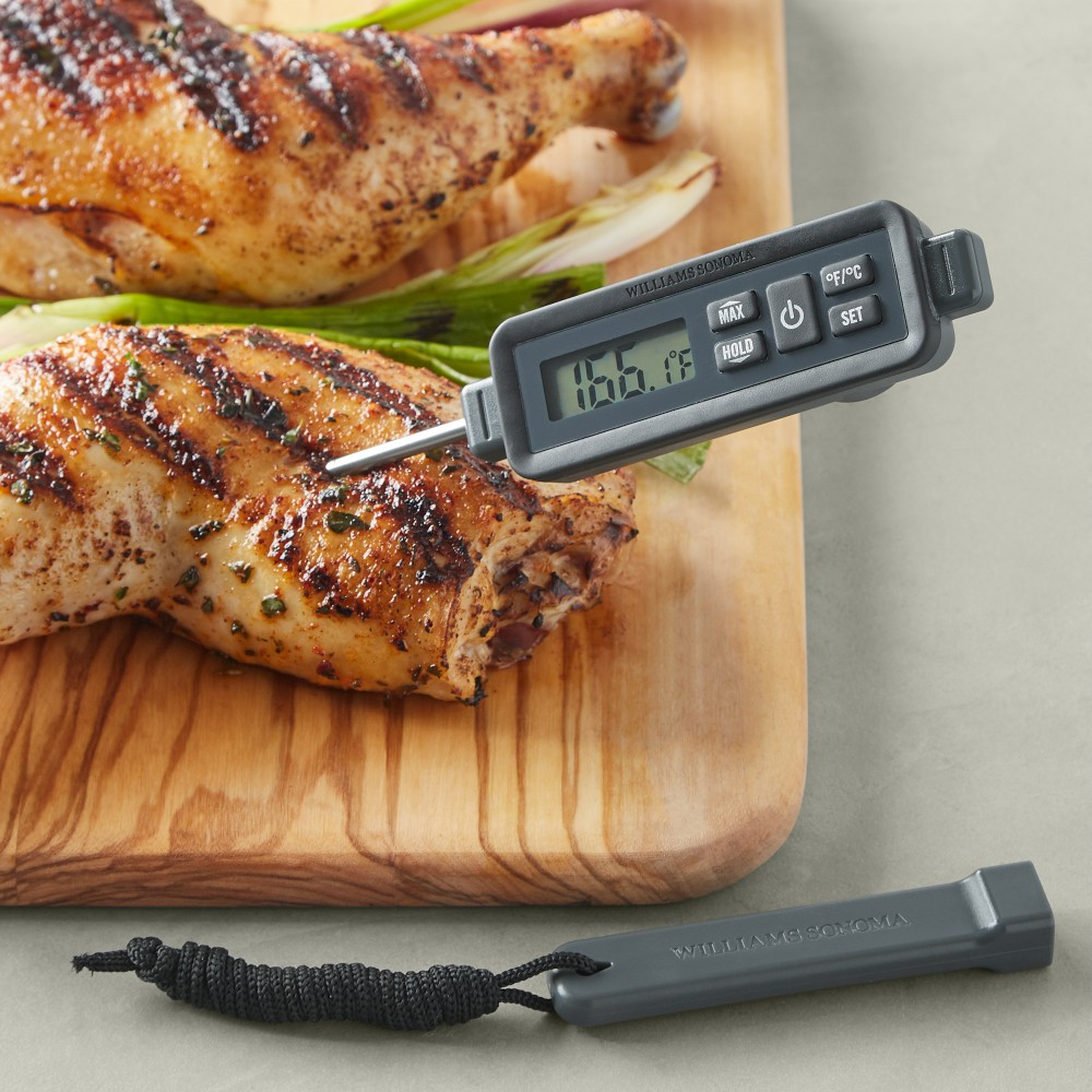 Williams Sonoma Waterproof Pen Thermometer | Williams-Sonoma