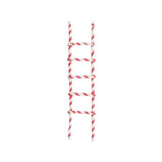 Mini Candy Cane Ladder by Ashland® | Michaels Stores