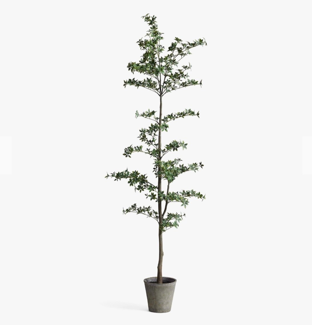 Olive trees | Black Olive trees | Realistic Trees 

#LTKHome