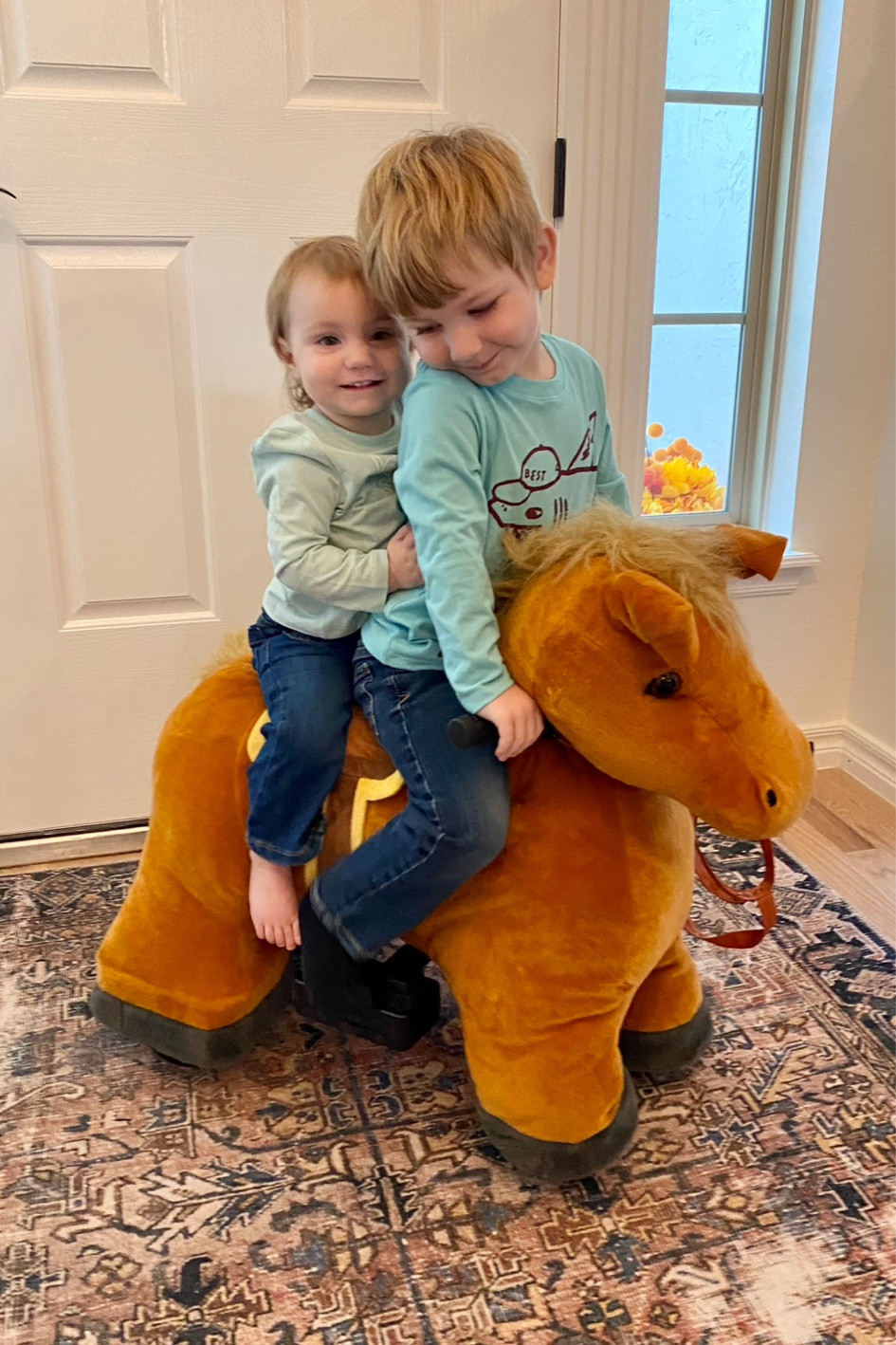 The kids most favorite animal toys. Ride-on horse, warmie cat stuffed animal that you can microwave or just enjoy it’s lavender scent, dinosaur, teddy bear, bunny

#LTKKids #LTKBaby