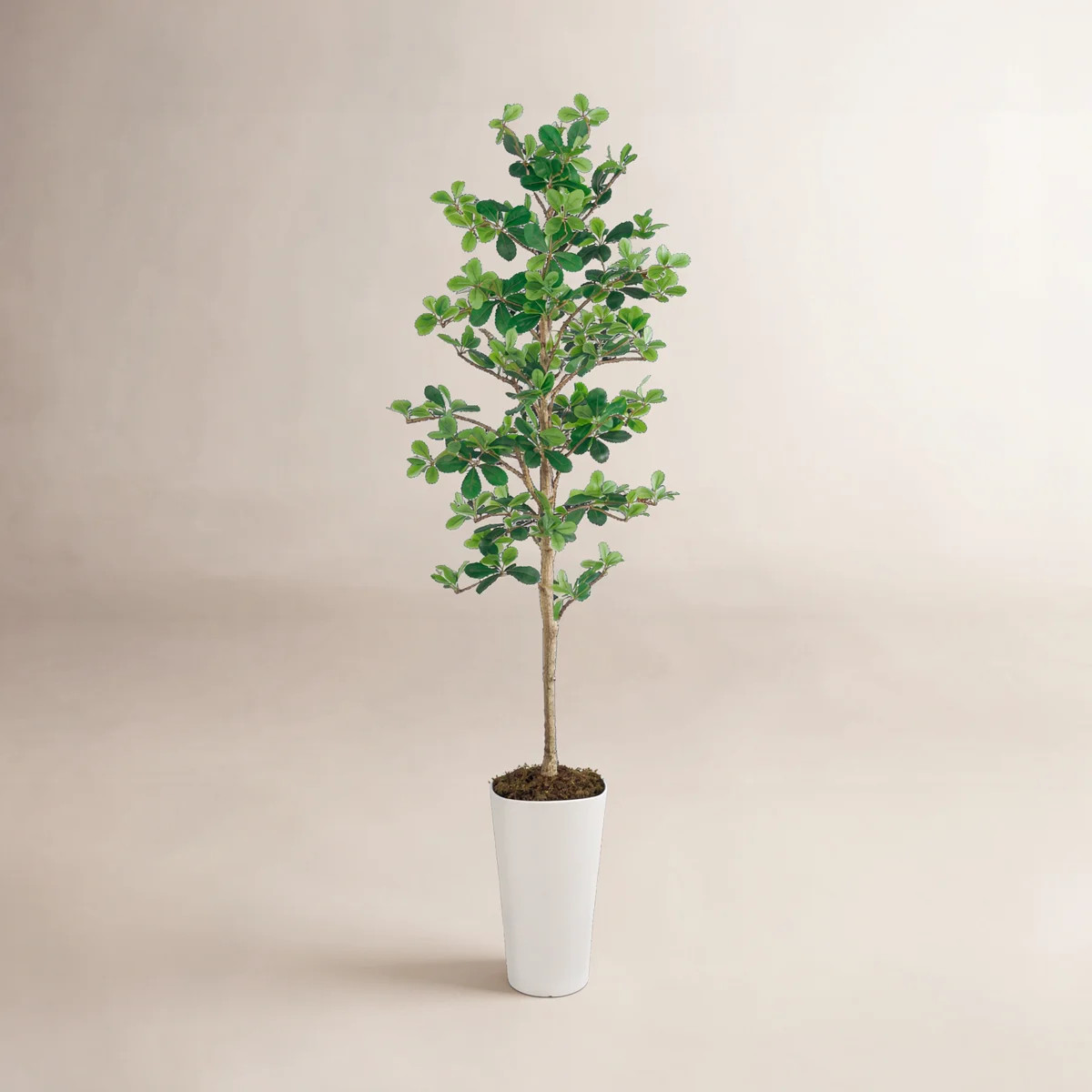 74'' Faux Eucalyptus Plant In  White Pot | Wayfair North America