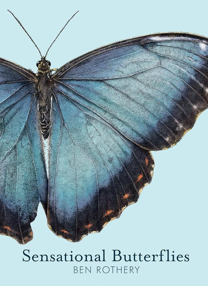 Sensational Butterflies (Rothery's Animal Planet Series) | Amazon (US)