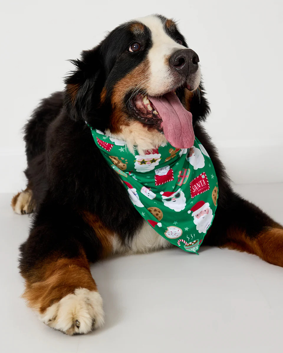 Cookies for Santa Pet Bandana | Little Sleepies