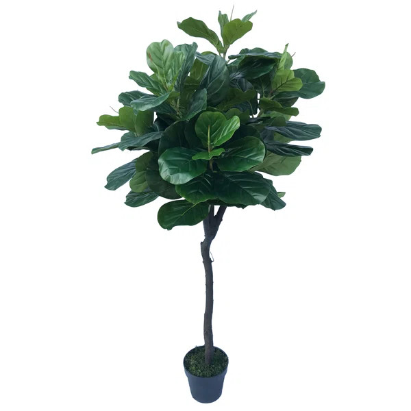Real Touch Silk Fiddle Leaf Fig Tree in Pot | Wayfair North America