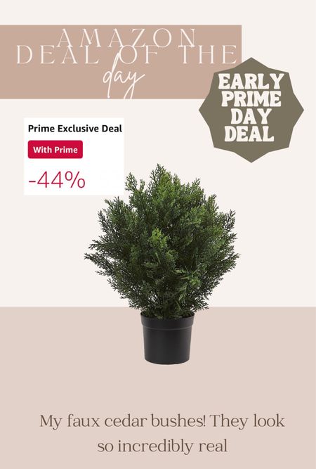 I have and LOVE these faux cedar bushes! They look so real on my front porch and back patio. Grab them on prime day deal

#LTKSeasonal #LTKxPrimeDay #LTKsalealert