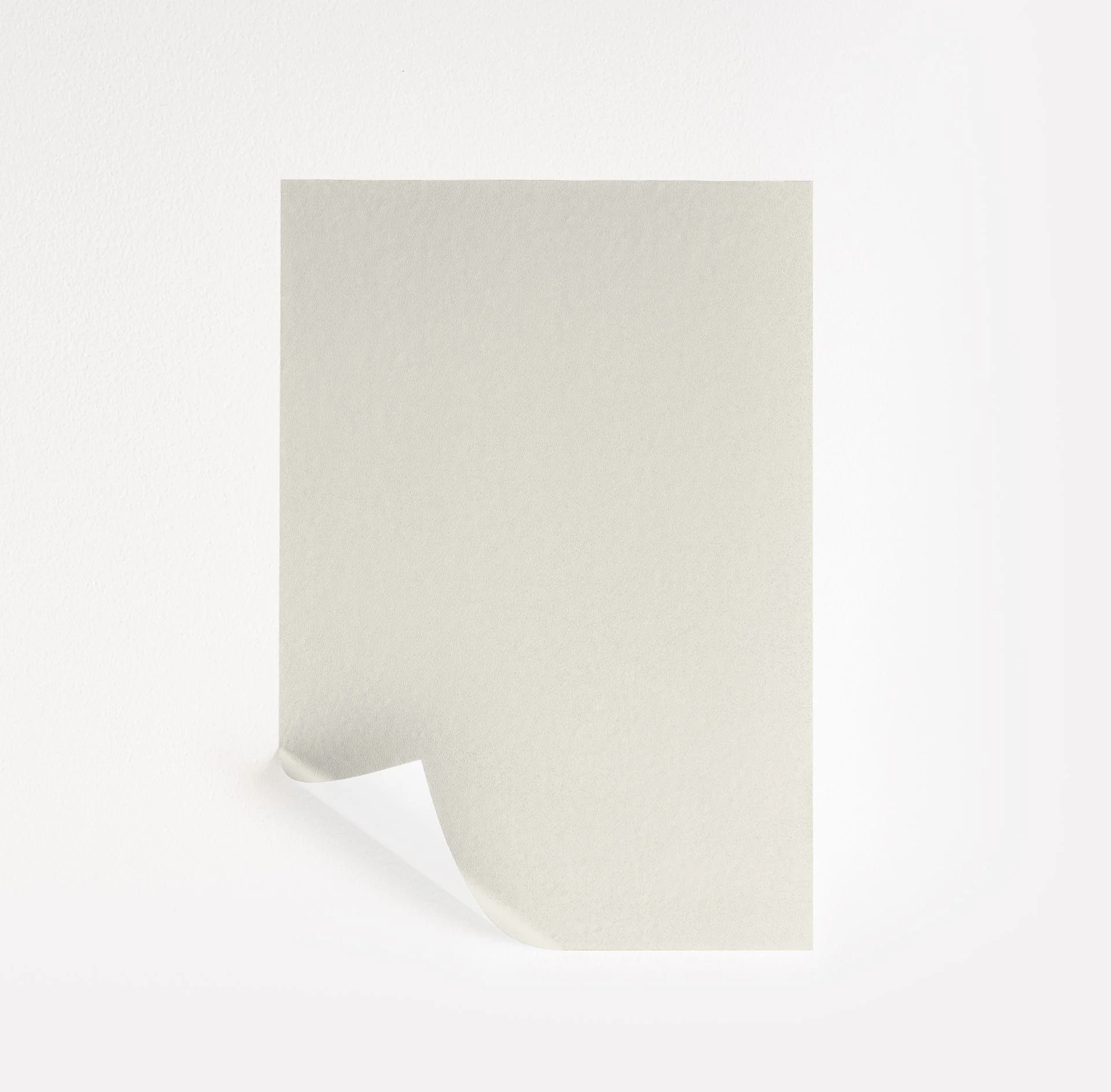 Cotton Paint Sample by Sherwin-Williams (9581) | Peel & Stick Paint Sample | Samplize