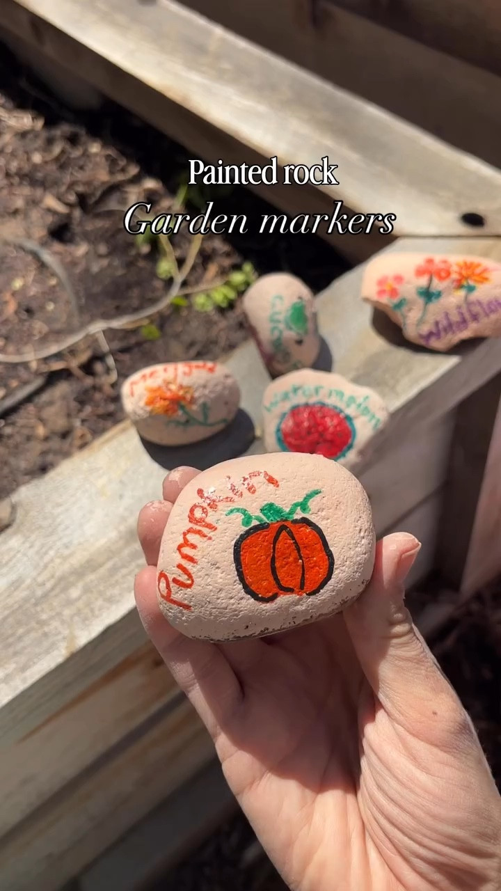 DIY painted rock garden markers with my preschooler 🥰🪨🪴🪏

#diygardenmarkers #paintedrocks #gardenmarker #gardening #girlmom