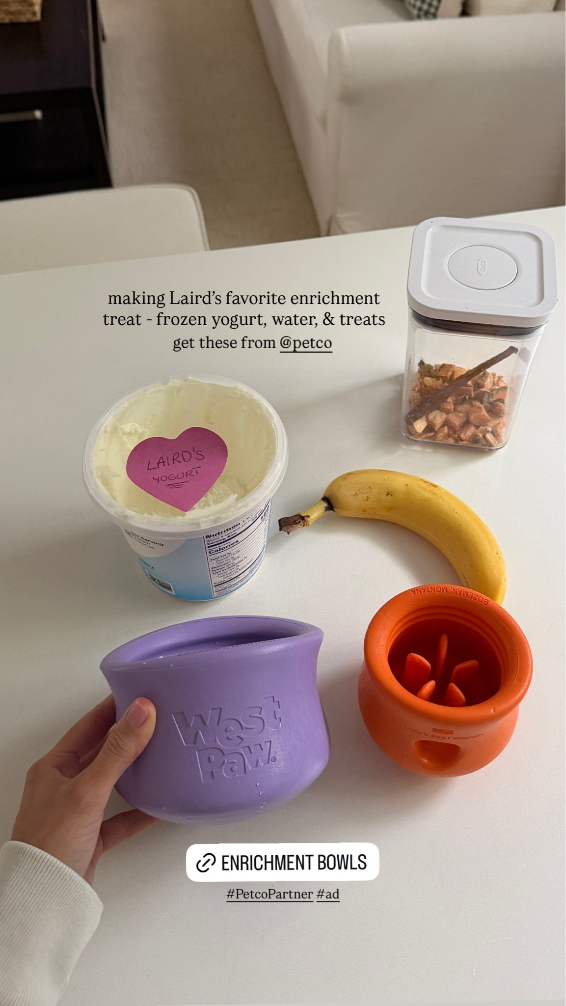 [5/11/26] Laird’s favorites from @petco | linking everything we bought & use for our boy! #PetcoPartner #ad

#LTKSeasonal #LTKmomlife