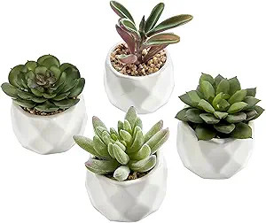MyGift Miniature Artificial Succulents, Indoor Fake House Plants in Round White Geometric Ceramic... | Amazon (US)