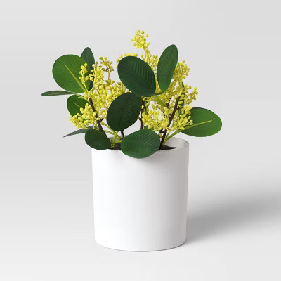 Seeded Plant - Threshold™ | Target