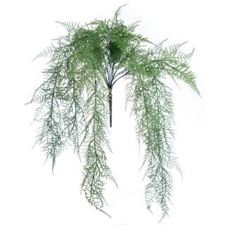 Hanging Asparagus Bush by Ashland® | Michaels Stores