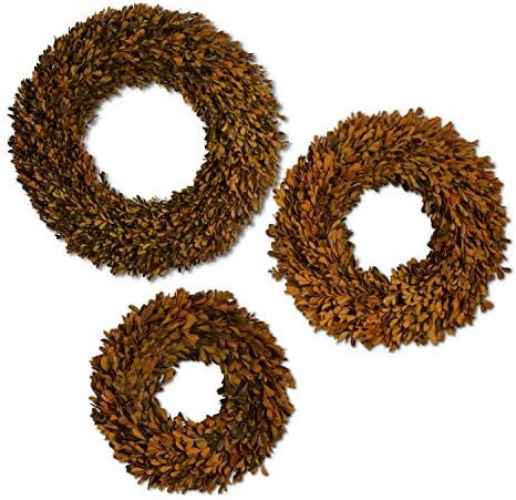 K&K Interiors 41605A Set of 3 Orange Preserved Boxwood Wreaths | Amazon (US)