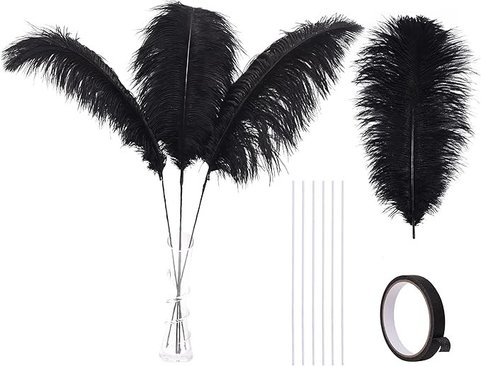 Ballinger Black Ostrich Feathers Bulk - Making Kit 10Pcs 28inch Large Ostrich Feathers for Floral... | Amazon (US)