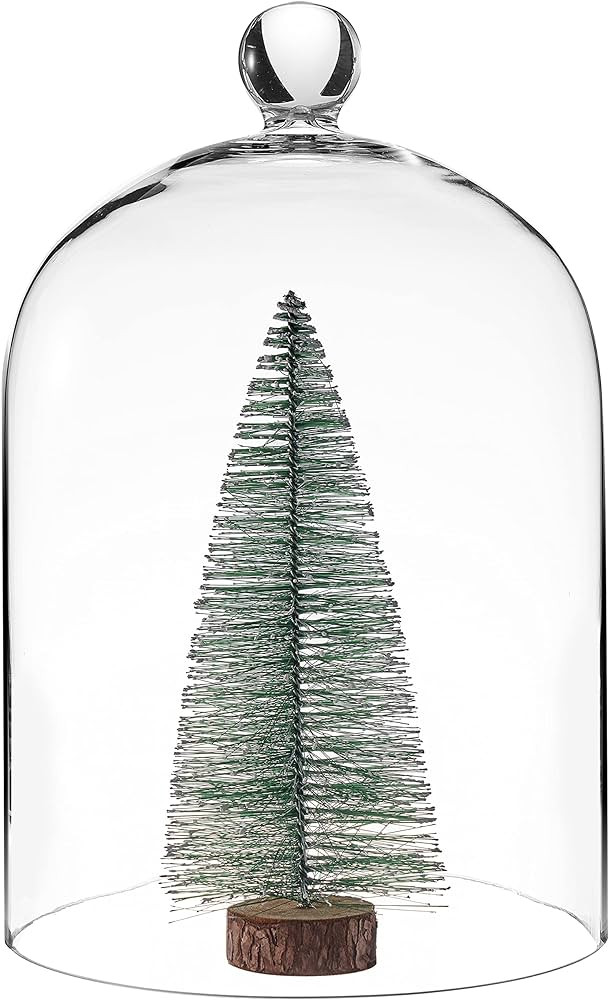 KMwares Clear Glass Display Dome Cloche Bell Jar Tabletop Decorative Case Covered Plants/Food (7.... | Amazon (US)