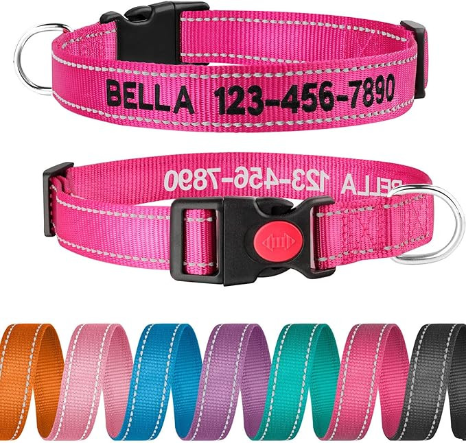 Personalized Dog Collar - Reflective Custom Embroidered with Pet Name and Phone Number for Boy an... | Amazon (US)